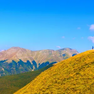 https://gli-aristogatti.it-tuscanyhotel.com